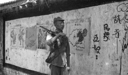 女记者爆料八路军视频,揭秘八路军英勇抗战瞬间